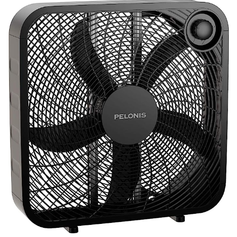 Fan
